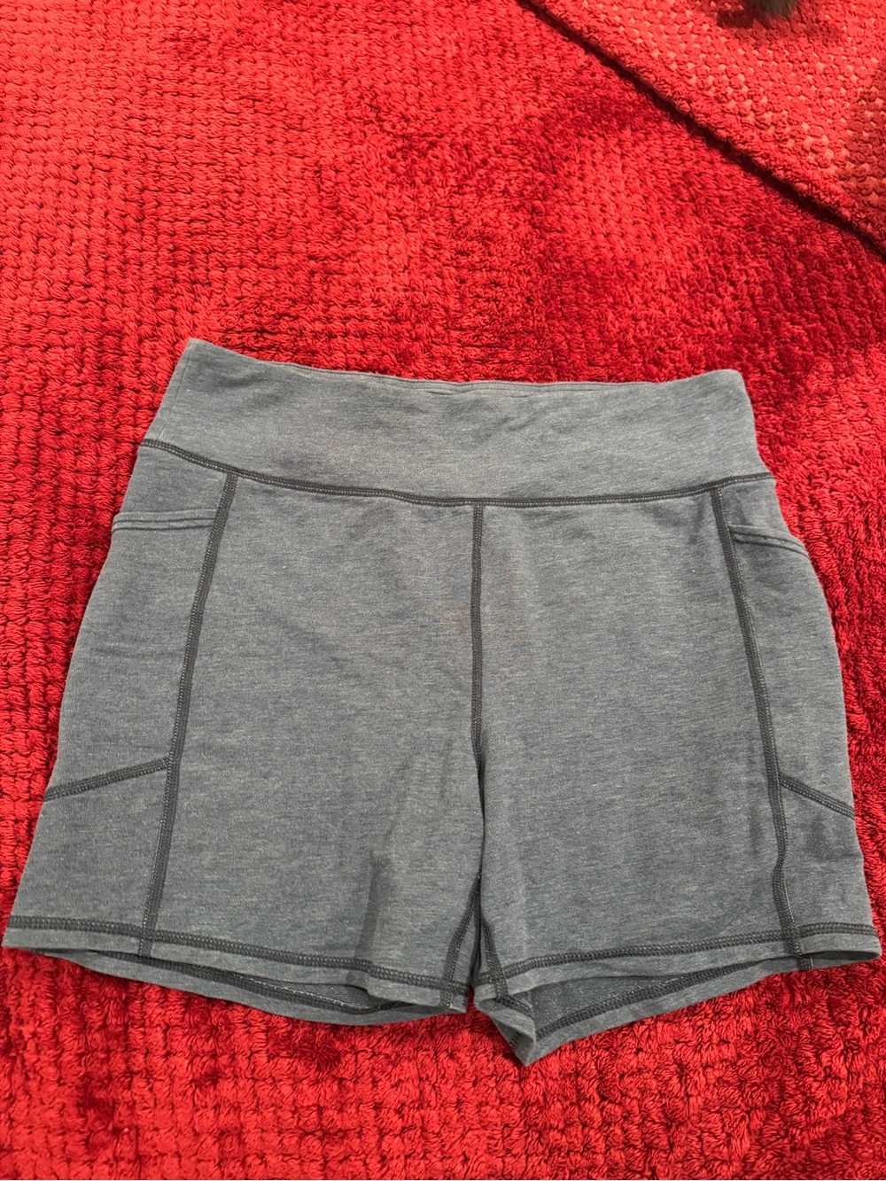 American Eagle Outfitters Blue Athletic Bike Shorts